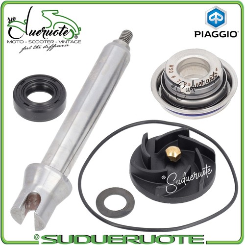 Kit revisione pompa acqua - revisione,