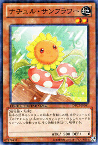 Ocg naturia sunflower - ocg,