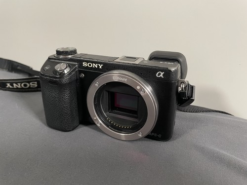 Sony alpha nex 1mp - alpha, nex-6