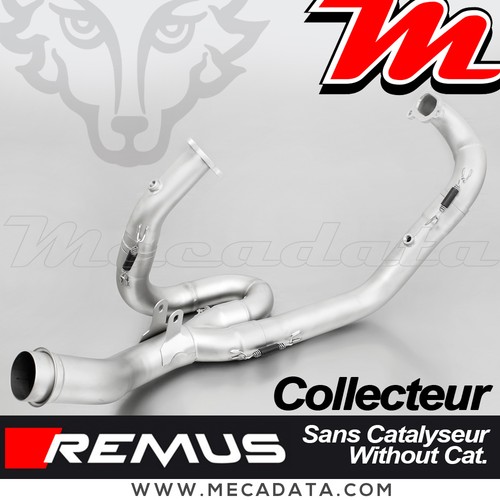 Collecteur sans cat - sans,