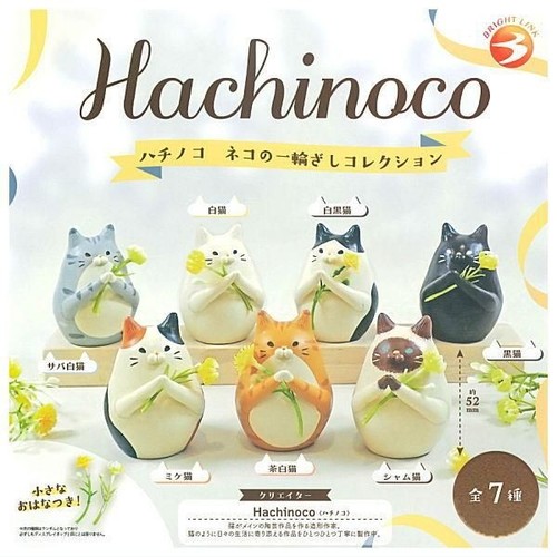 Hachinoco cat one - cat, one-flower