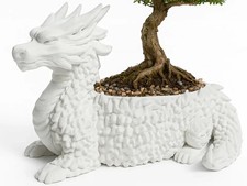 Grande Fioriera Drago per