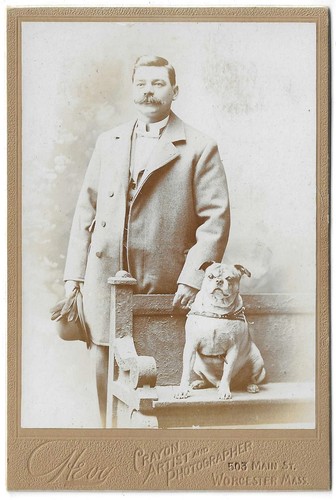 1890s uomo bulldog fantasia - uomo,
