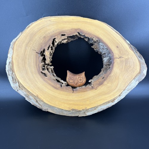 Taglio legno burlwood - , bordo