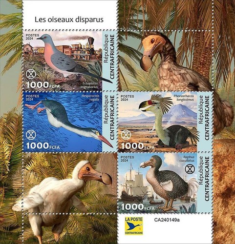 Extinct birds dodo pigeon - extinct, dodo/pigeon