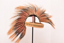 Copricapo porcospino scarafaggio testa indiana nativi americani antico pianura