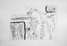 Renzo BIASION, Acquaforte cm