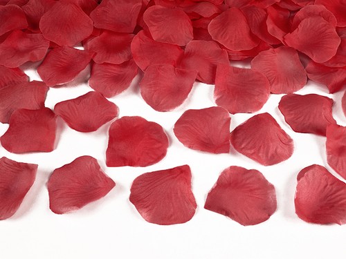 Petali rosa finti - rosa,