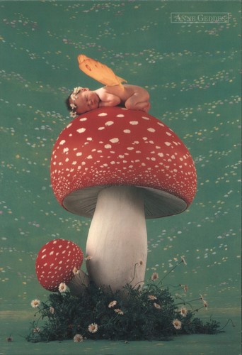 Neonati baby fairy fungo - neonati,