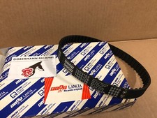 Cinghia trasmissione