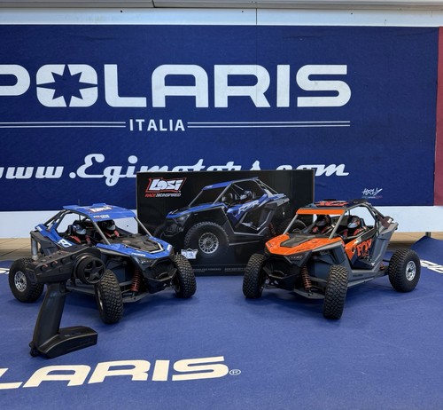 Polaris rzr 10 losi - , 1:10