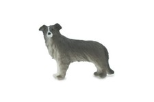 Dog, Border Collie, Realistic