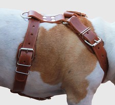 Imbracatura per cani in pelle
