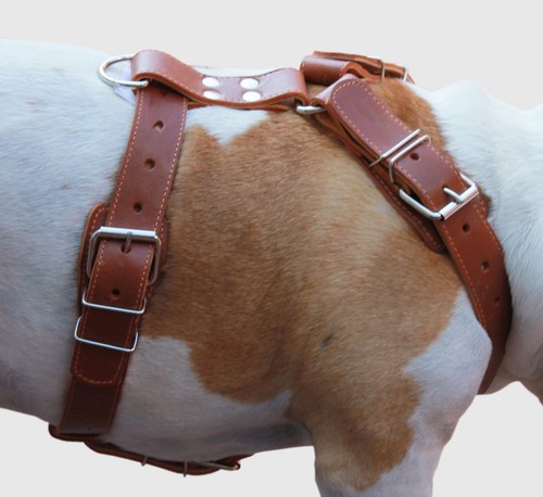 Imbracatura per cani pelle - per,