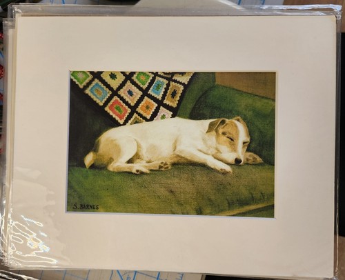 Jack parson russell - jack,