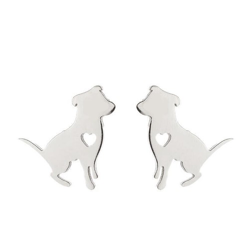 Paio orecchini acciaio inox - acciaio,