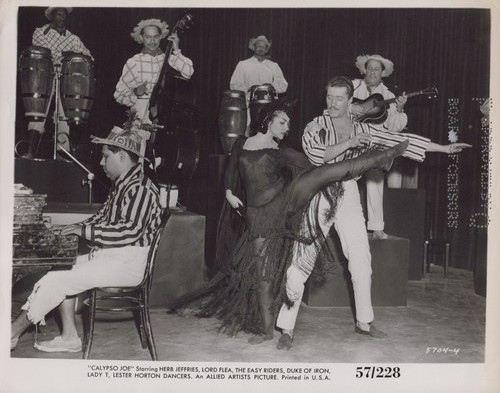 Calypso joe nightclub - joe,
