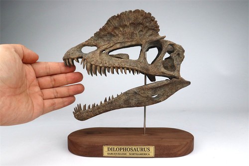Statua dinosauro jushi studio - dinosauro,
