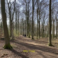 Photo 12x8 A walk in The