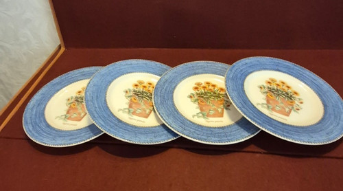 Piatto insalata wedgwood - insalata,