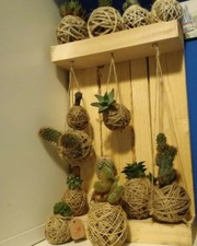 Kokedama piante grasse - kokedama,
