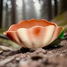 MUSSANO & MARCIANDI   TORINO