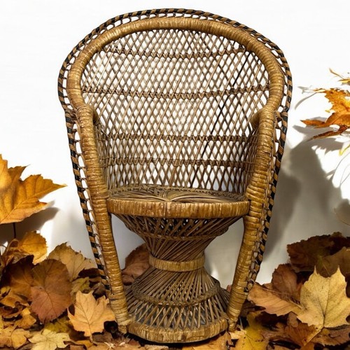 Mini pavone vimini - , ventaglio