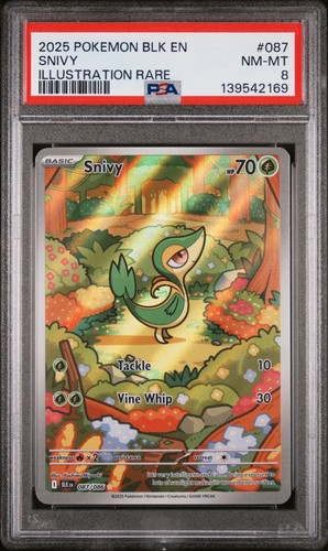 Snivy 087 illustrazione rara - snivy,