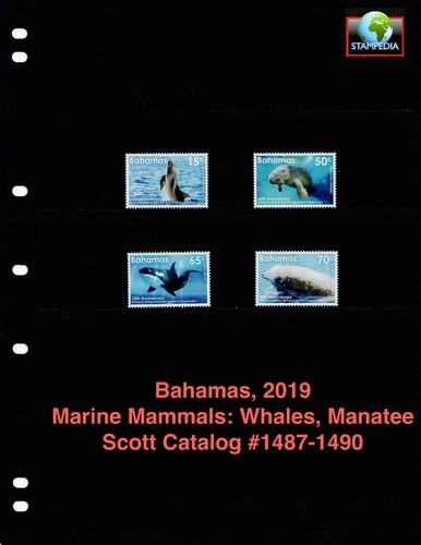 Scott value 2019 - value,