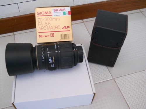 Teleobiettivo sigma 300mm - sigma, 70-300mm