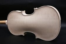Violino professionale non