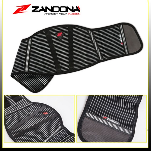 Fascia elastica parareni - fascia,