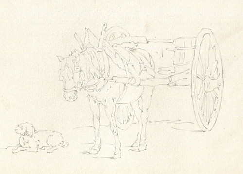 Cavallo disegno matita - da, a