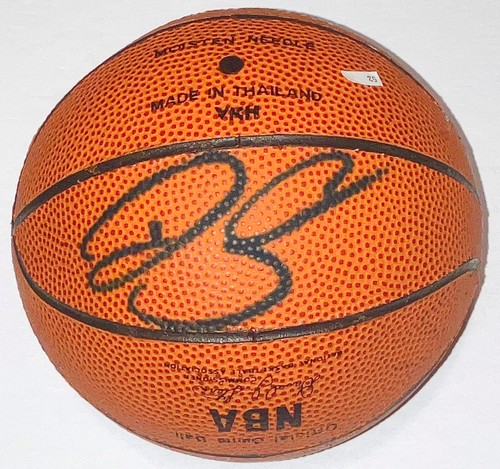 Ray allen mini spalding - spalding, basket