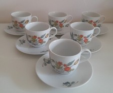 Tazzine Caffè Porcellana Winterling Schwarzenbach Bavaria Germany Vintage