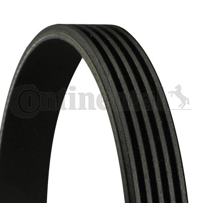 Continental ctam 5pk1788 - continental,