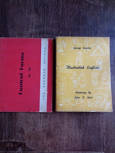 Libri vintage the shenker - vintage,