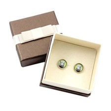 Tedesco Drahthaar. Animale