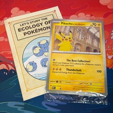 🌍🚚 Pokemon Pikachu at