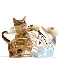 Gioco Con Pupazzo Topo