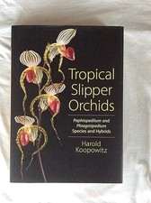 Tropical slipper orchids - tropical,