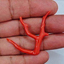 Ramo di corallo italiano