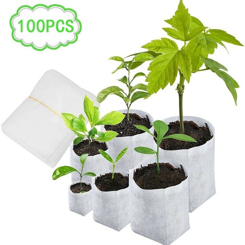 100 pezzi sacchetti - 100,