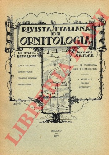 Vv rivista - -,