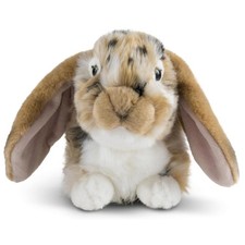 Living Nature Orecchio di