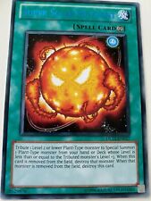 Yugioh Super Solar Nutrient
