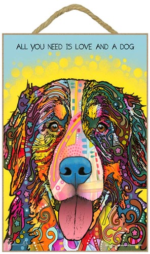Cane bovaro del bernese - cane,