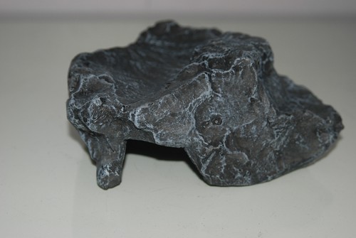 Terrario medio grigio roccia - medio,