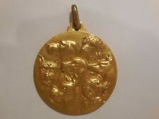 medaglia esposizione canina cane cane cane Chieti Pescara argento