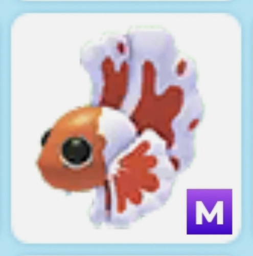 Pink betta fish - m,